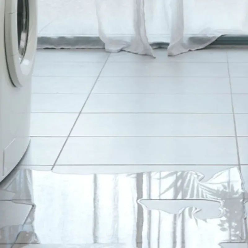 Appliance Leak Cleanup in Clark County, ID