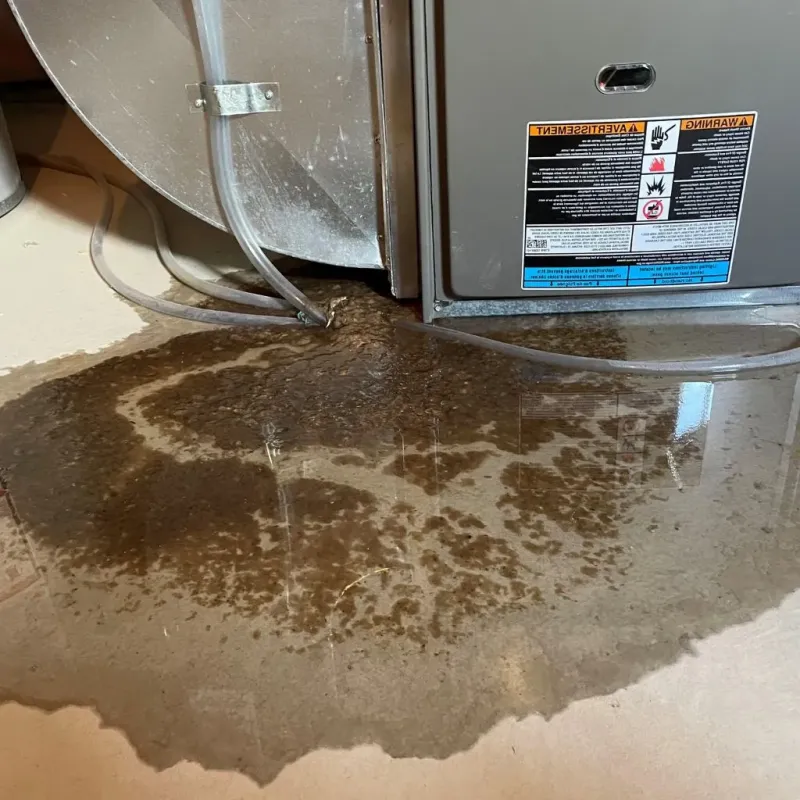 Pipe Burst and Leak Restoration in Clark County, ID